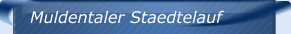 Muldentaler Staedtelauf